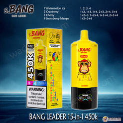 Bang Leader Jednorazowy waporyzator 15 w 1 450 tys. | inteligentny wyświetlacz typu c port | regulowany 4-stopniowy waporyzator lodowy | podwójny tryb waporyzator z zasysaniem ust/płuc