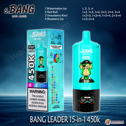 Bang Leader Jednorazowy waporyzator 15 w 1 450 tys. | inteligentny wyświetlacz typu c port | regulowany 4-stopniowy waporyzator lodowy | podwójny tryb waporyzator z zasysaniem ust/płuc