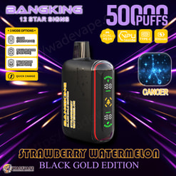 bang king 12 star signs 50000 puffs disposable vape | dual mode zodiac vape | 12 flavors with constellation design