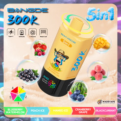 bang de 90000 puffs vape | led smart display screen | 650mah mesh coil 90k disposable