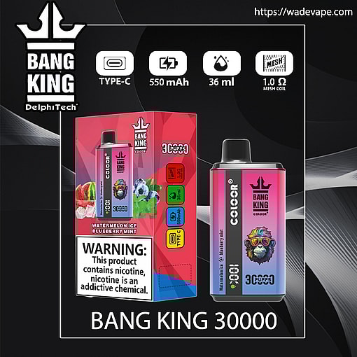 Colourful product image of a Bang King 30000 disposable vape and its box on a dark background, showing the crown logo, flavour Watermelon Ice Blueberry Mint with a colourful monkey illustration, feature icons for Type‑C charging, 550 mAh, 36 ml capacity and 1.0 Ω mesh coil, plus a prominent nicotine health warning.