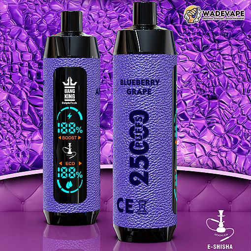 Two upright cylindrical purple‑textured e‑shisha devices displayed against a glossy purple patterned background; the front unit shows a vertical digital screen with battery, boost and eco indicators, and the rear unit is labelled BLUEBERRY GRAPE and 25 PUFFS, with small Bang King and WadeVape logos and a hookah icon.
