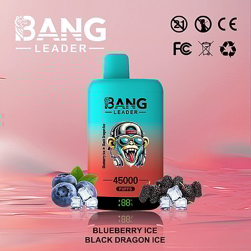 Bang Leader 45000 puffs Original Genuine Intake Port 45K Customizable. Fast shipping - Image 3