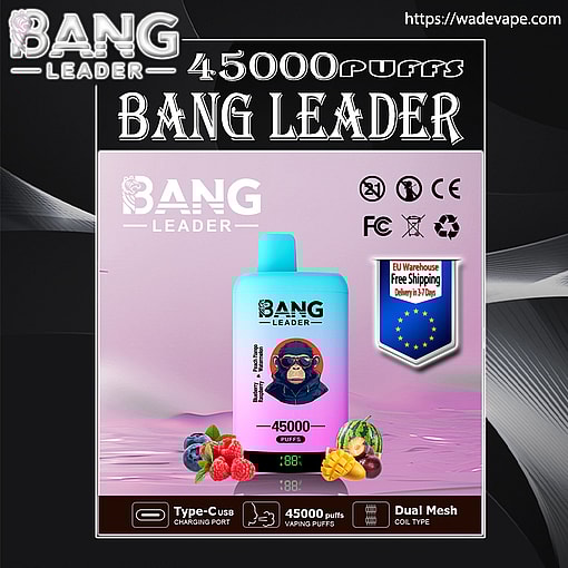 bang leader 45000 puffs original bang 2in1 45k vape led e liquid battery display free shipping from eu warehouse