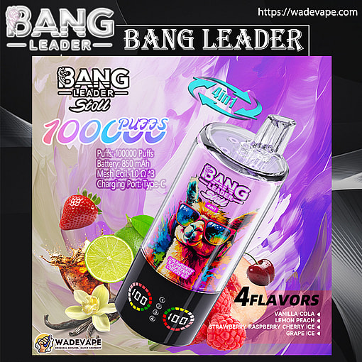 bang leader 100000 puffs original bang leader 100k 4 flavors in 1 vape led display type c port disposable e cigarettes customizable. fast shipping
