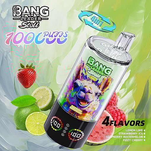 bang leader 100000 puffs original bang leader 100k 4 flavors in 1 vape led display type c port disposable e cigarettes customizable. fast shipping