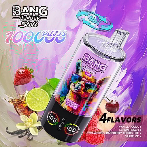 bang leader 100000 puffs original bang leader 100k 4 flavors in 1 vape led display type c port disposable e cigarettes customizable. fast shipping