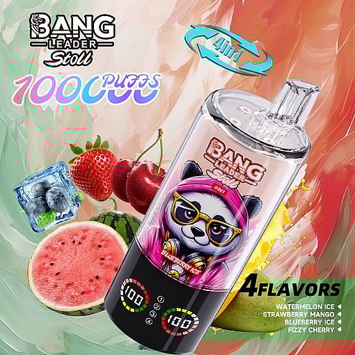 bang leader 100000 puffs original bang leader 100k 4 flavors in 1 vape led display type c port disposable e cigarettes customizable. fast shipping