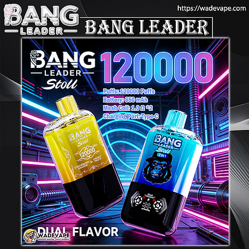 bang leader 120000 puffs original bang leader 120k double flavors vape led display type c port disposable e cigarettes customizable. fast shipping