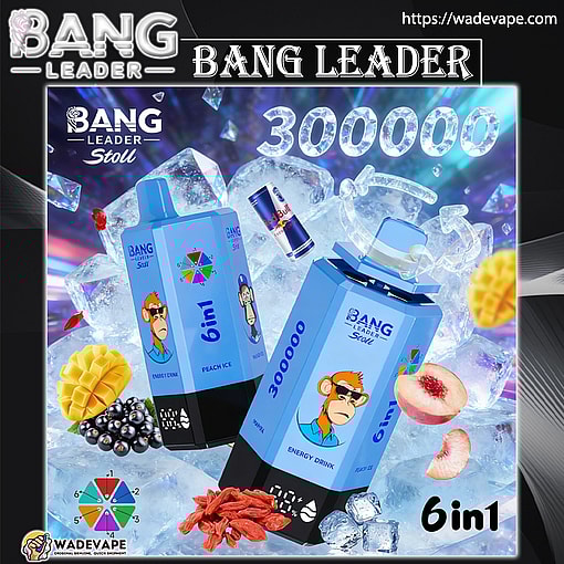 bang leader 300000 puffs original bang leader stoll 300k 6 flavors in 1 vape led display type c port disposable e cigarettes customizable fast shipping