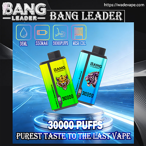 bang leader 30000 puffs original bang leader 30k double flavor vape led display type c port disposable e cigarettes customizable. fast shipping