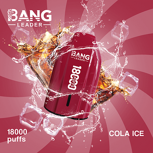 bang leader 18000 puffs original bang leader 18k vape type c port disposable e cigarettes customizable. fast shipping
