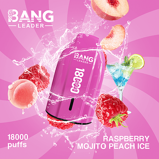 bang leader 18000 puffs original bang leader 18k vape type c port disposable e cigarettes customizable. fast shipping