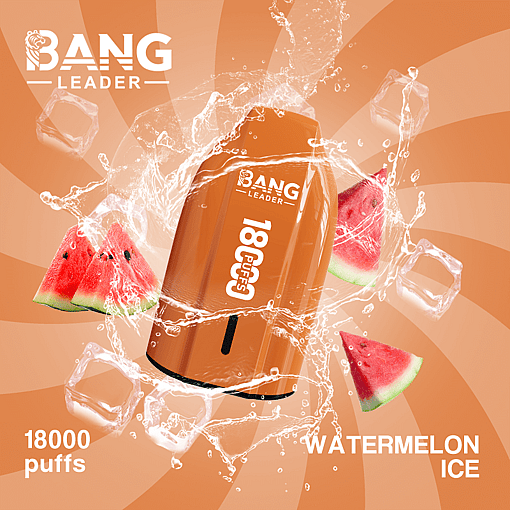 bang leader 18000 puffs original bang leader 18k vape type c port disposable e cigarettes customizable. fast shipping
