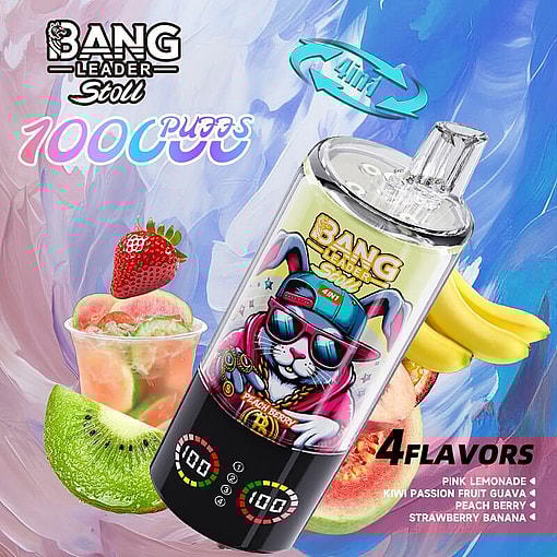 bang leader 100000 puffs original bang leader 100k 4 flavors in 1 vape led display type c port disposable e cigarettes customizable. fast shipping