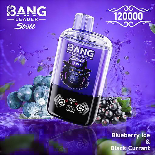 bang leader 120000 puffs original bang leader 120k double flavors vape led display type c port disposable e cigarettes customizable. fast shipping