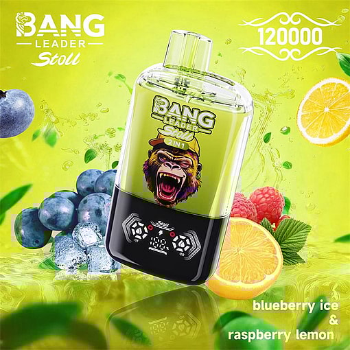 bang leader 120000 puffs original bang leader 120k double flavors vape led display type c port disposable e cigarettes customizable. fast shipping