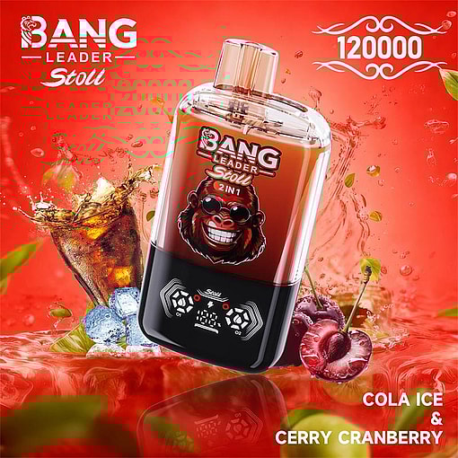 bang leader 120000 puffs original bang leader 120k double flavors vape led display type c port disposable e cigarettes customizable. fast shipping