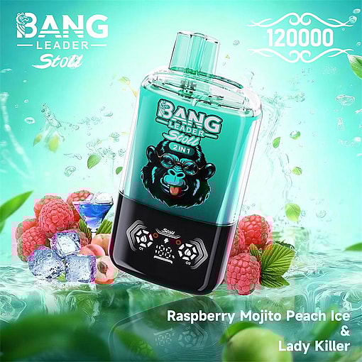 bang leader 120000 puffs original bang leader 120k double flavors vape led display type c port disposable e cigarettes customizable. fast shipping
