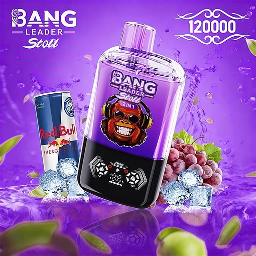 bang leader 120000 puffs original bang leader 120k double flavors vape led display type c port disposable e cigarettes customizable. fast shipping