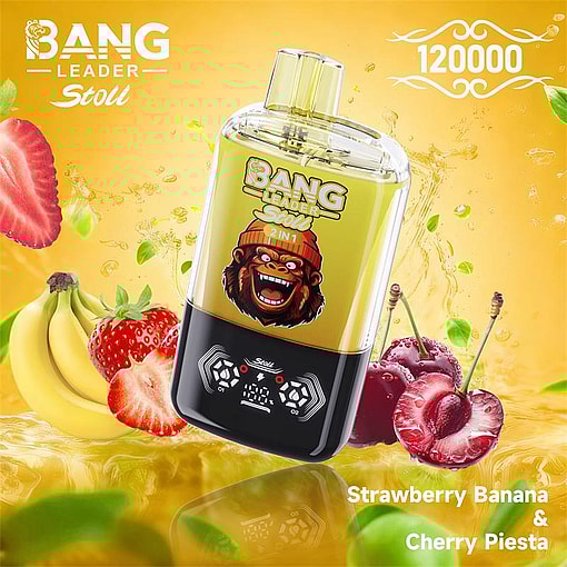 bang leader 120000 puffs original bang leader 120k double flavors vape led display type c port disposable e cigarettes customizable. fast shipping