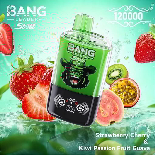 bang leader 120000 puffs original bang leader 120k double flavors vape led display type c port disposable e cigarettes customizable. fast shipping