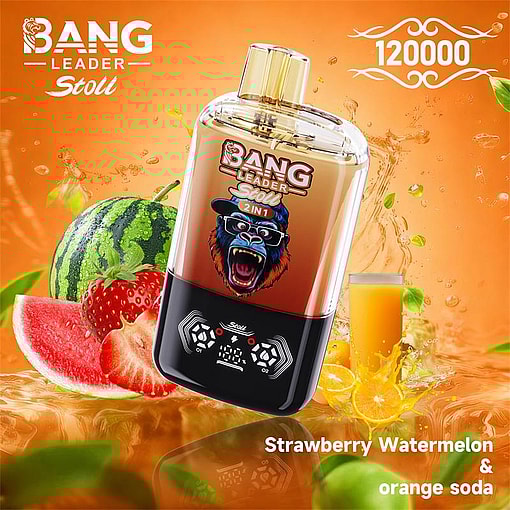 bang leader 120000 puffs original bang leader 120k double flavors vape led display type c port disposable e cigarettes customizable. fast shipping