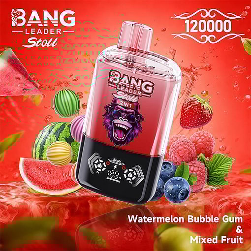 bang leader 120000 puffs original bang leader 120k double flavors vape led display type c port disposable e cigarettes customizable. fast shipping