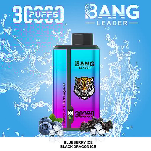 bang leader 30000 puffs original bang leader 30k double flavor vape led display type c port disposable e cigarettes customizable. fast shipping