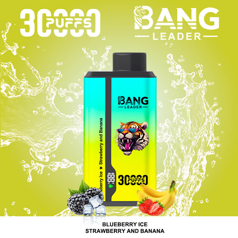 bang leader 30000 puffs original bang leader 30k double flavor vape led display type c port disposable e cigarettes customizable. fast shipping