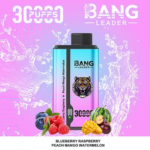 bang leader 30000 puffs original bang leader 30k double flavor vape led display type c port disposable e cigarettes customizable. fast shipping
