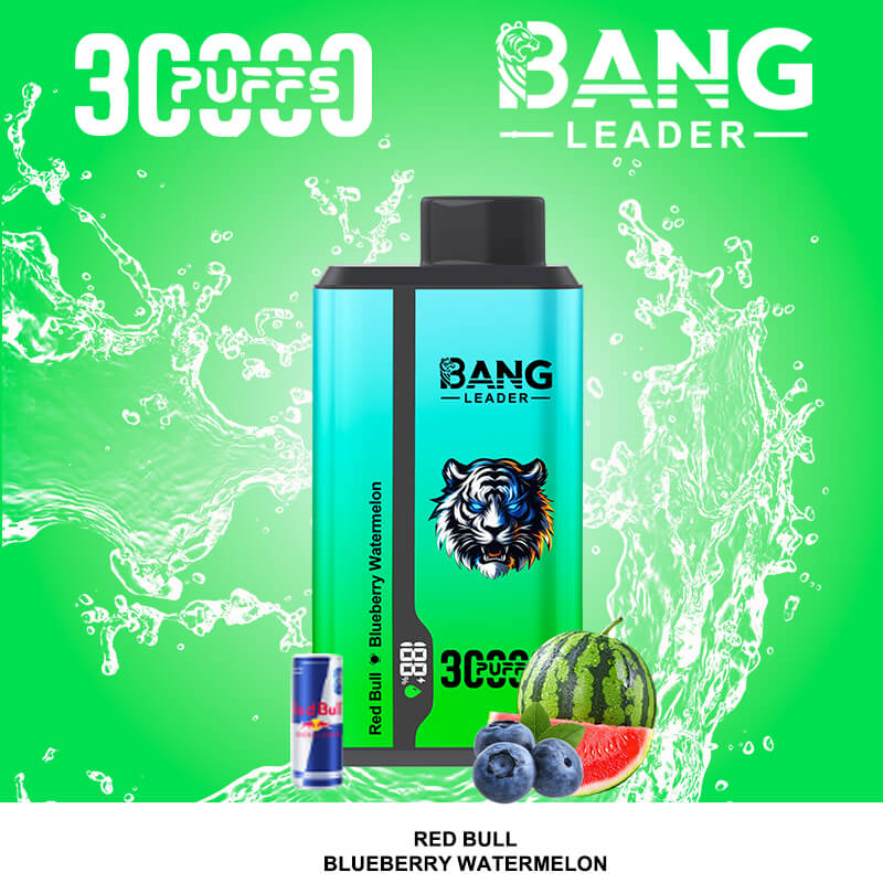 bang leader 30000 puffs original bang leader 30k double flavor vape led display type c port disposable e cigarettes customizable. fast shipping