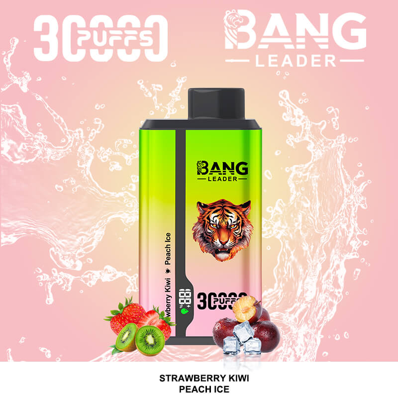 bang leader 30000 puffs original bang leader 30k double flavor vape led display type c port disposable e cigarettes customizable. fast shipping