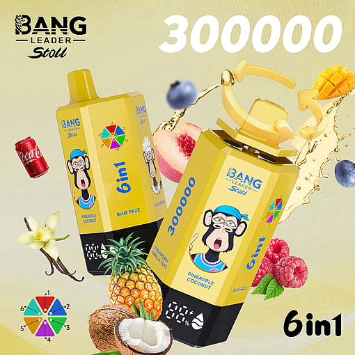 bang leader 300000 puffs original bang leader stoll 300k 6 flavors in 1 vape led display type c port disposable e cigarettes customizable fast shipping