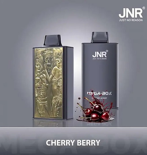 jnr mega box 25000 puffs original genuine disposable vape type c charging port crystal 25k customizable. fast shipping