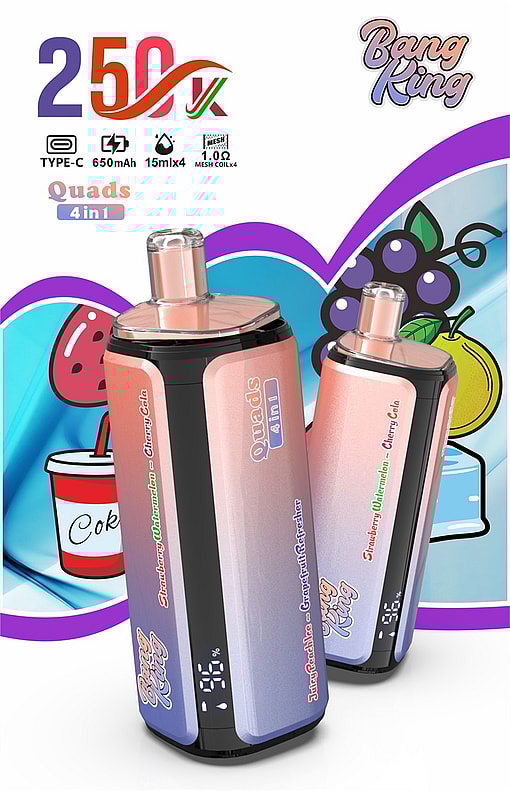 bang king 250000 puffs original bang king 4in1 250k vape led display type c port disposable e cigarettes customizable fast shipping