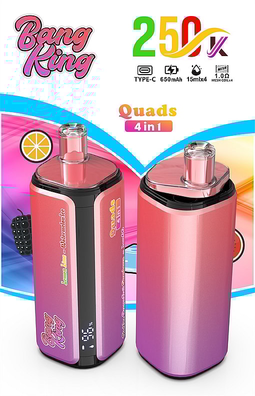 bang king 250000 puffs original bang king 4in1 250k vape led display type c port disposable e cigarettes customizable fast shipping