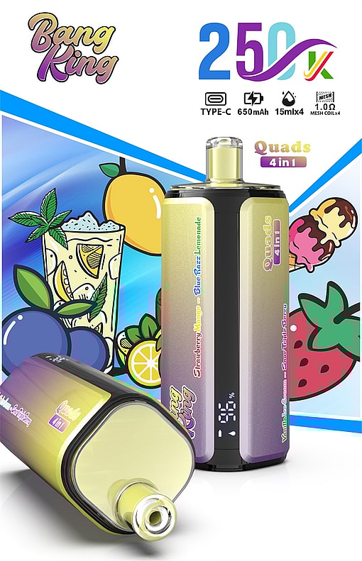 bang king 250000 puffs original bang king 4in1 250k vape led display type c port disposable e cigarettes customizable fast shipping