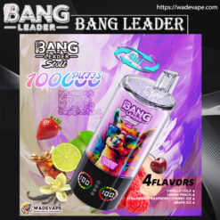 bang leader 100000 puffs original bang leader 100k 4 flavors in 1 vape led display type c port disposable e cigarettes customizable. fast shipping